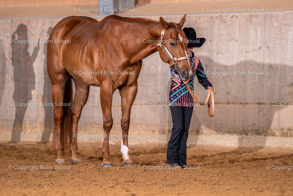 AQS09293 | BS-foto