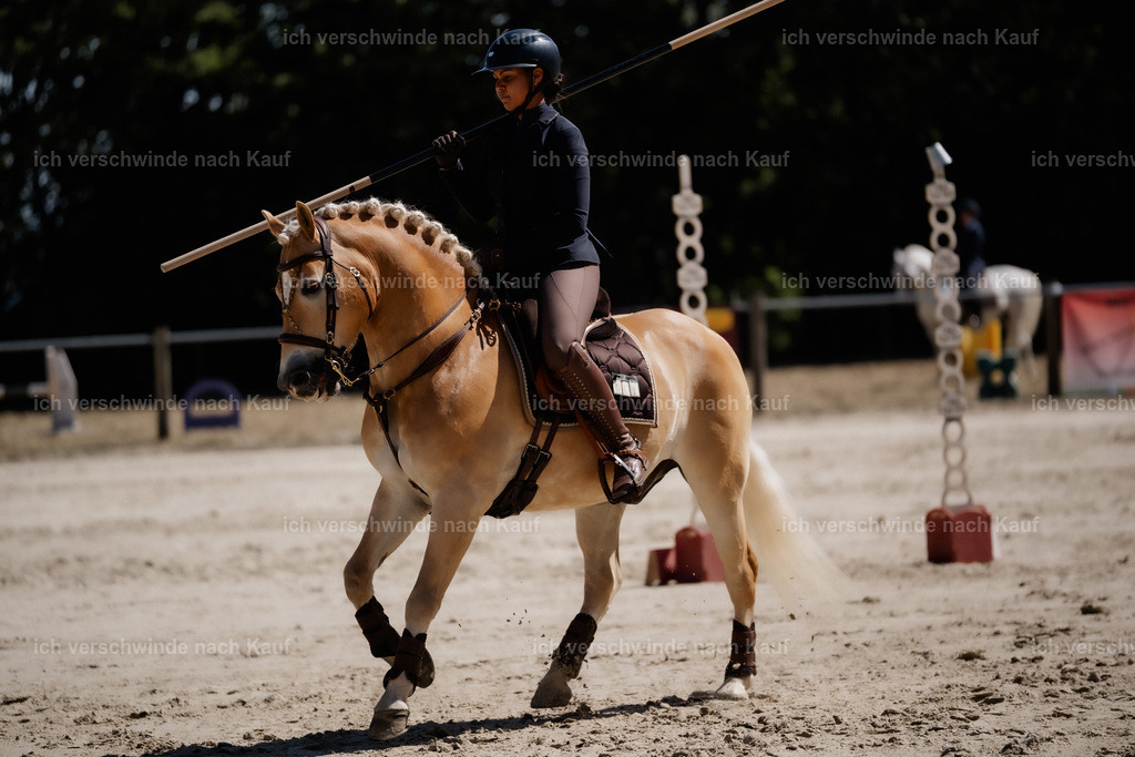 WS_ST_1_stoibphotography_SO10551 | working equitationturnier fotograf videograf stoibphotography marixx film working equitation deutschland reitsport turnierfotografie eventfotografie equestrian events