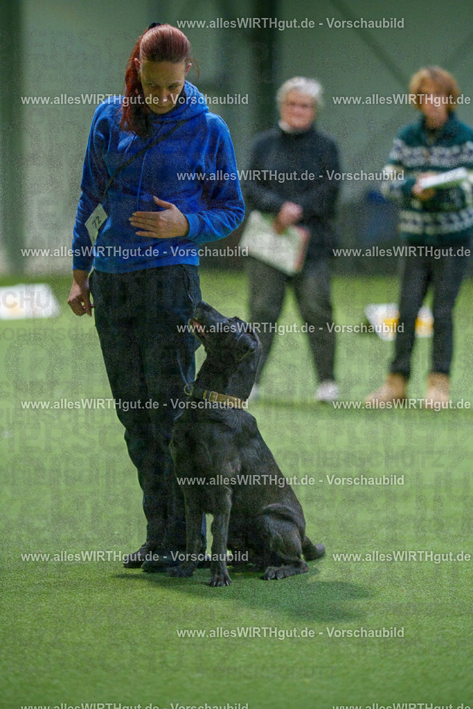 7R507065 | Professionelle Tierfotografie in Mönchengladbach von Daniel Wirth (allesWIRTHgut). Liebevolle & natürliche Bilder von Hunden & Katzen für unvergessliche Erinnerungen.