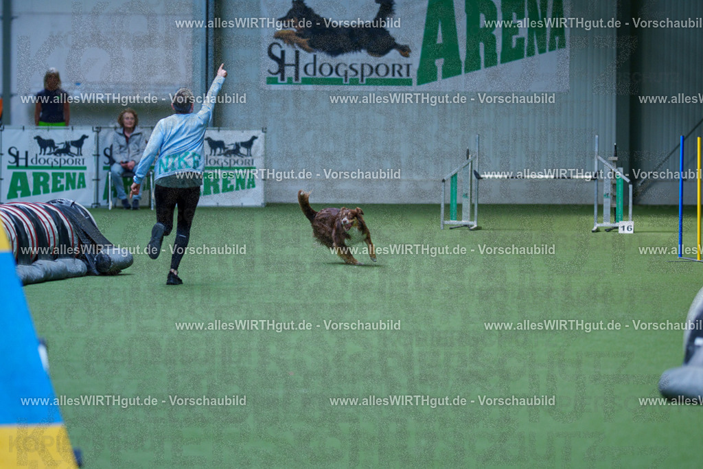 @allesWIRTHgut_Tierfotografie - www.allesWIRTHgut.de - 2604251425-7R504661 | Professionelle Tierfotografie in Mönchengladbach von Daniel Wirth (allesWIRTHgut). Liebevolle & natürliche Bilder von Hunden & Katzen für unvergessliche Erinnerungen.