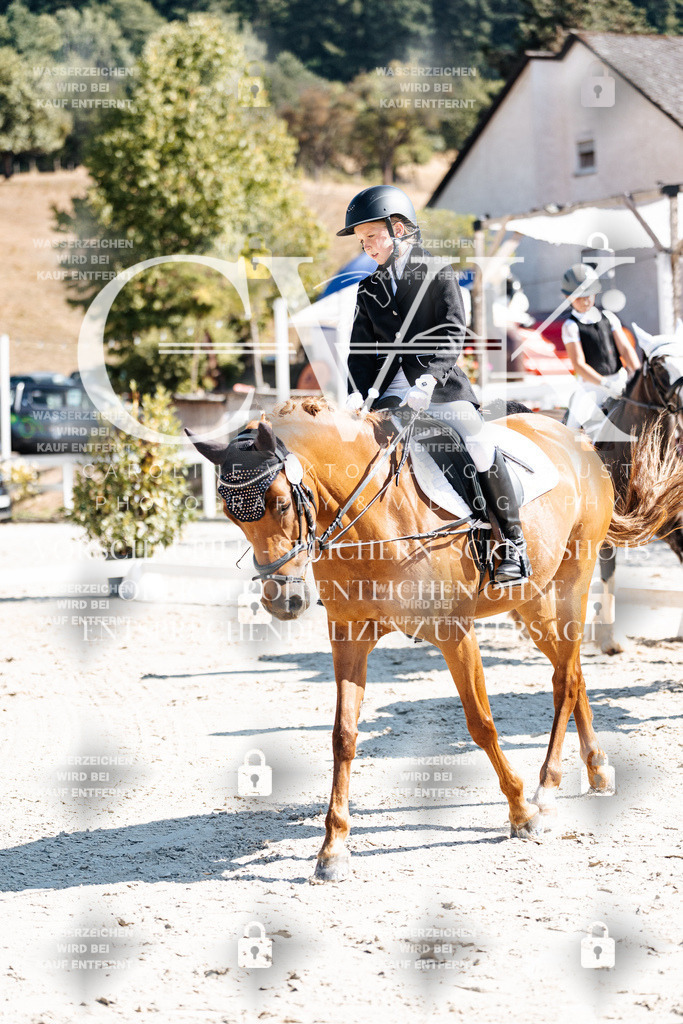 CK902952 | Turnierfotografie Pferdefotografie Trier Rheinland-Pfalz Pferdesport Reitsport Tierfotografie Sportfotografie Pferdevideo Pferdevideografie Equestrianvideography equestrianphotography  - Realisiert mit Pictrs.com