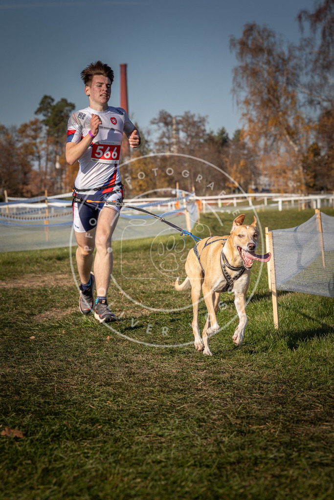 CaniXpix_0L8A8026 | Hundefotografie, Tierfotograf, Pfotenfotografie, Fotoshooting Hund, Hunde Portrait, Hundesport, Hundeportraits, Heideshooting, Hunde, Sportfotograf, Hundefotograf, Turnierhundsport, THS,  - Realisiert mit Pictrs.com