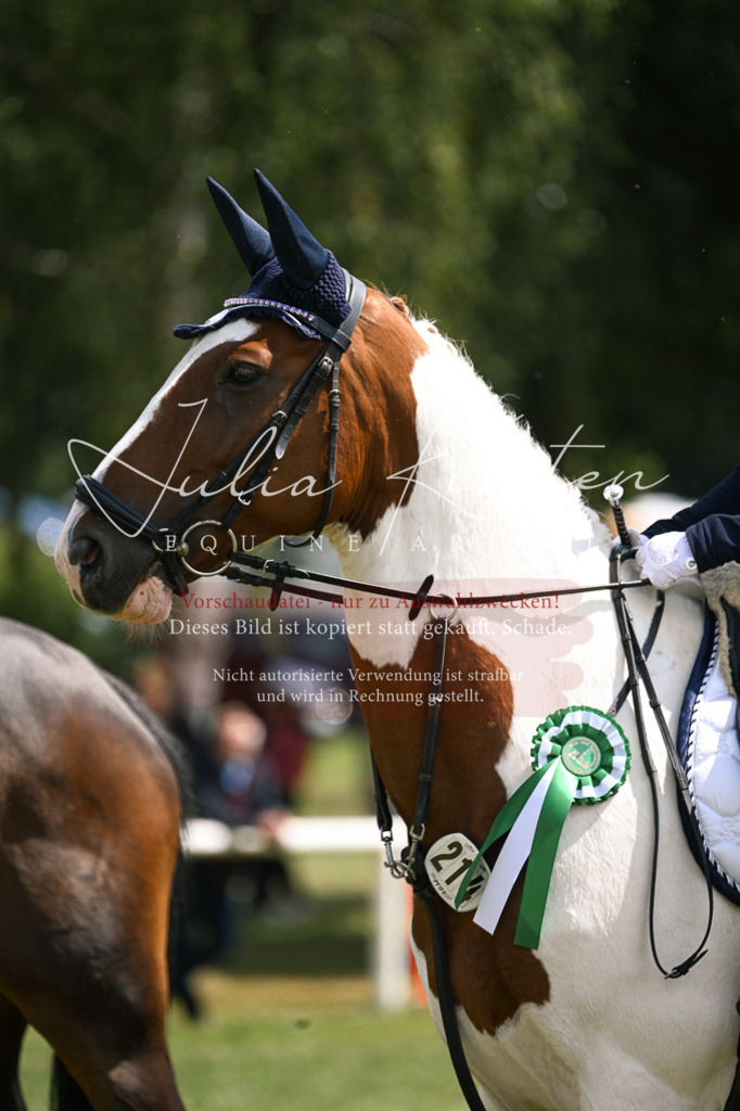 DSC_9193 | Pferde- und Turnierfotografie in Westsachsen. Pferdeportraits, Auftragszeichnungen und intuitive Kunst.