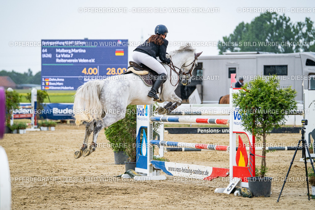 DSC08657 | Pferdegrafie