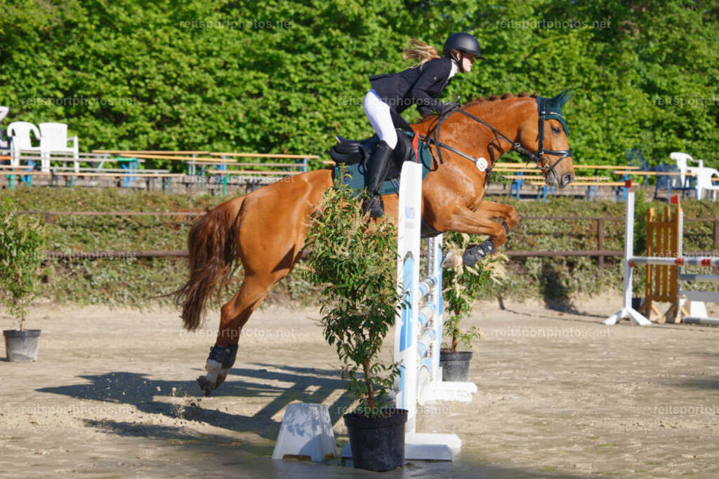 JHE_0347 | JoYa Fotografie - Realisiert mit Pictrs.com