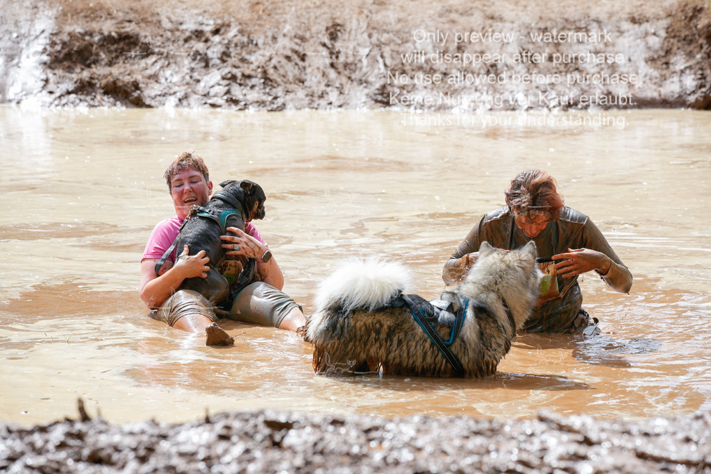 Schlamm_mit_Hund (341 von 460) | stephaniefillaphotographie - Realisiert mit Pictrs.com