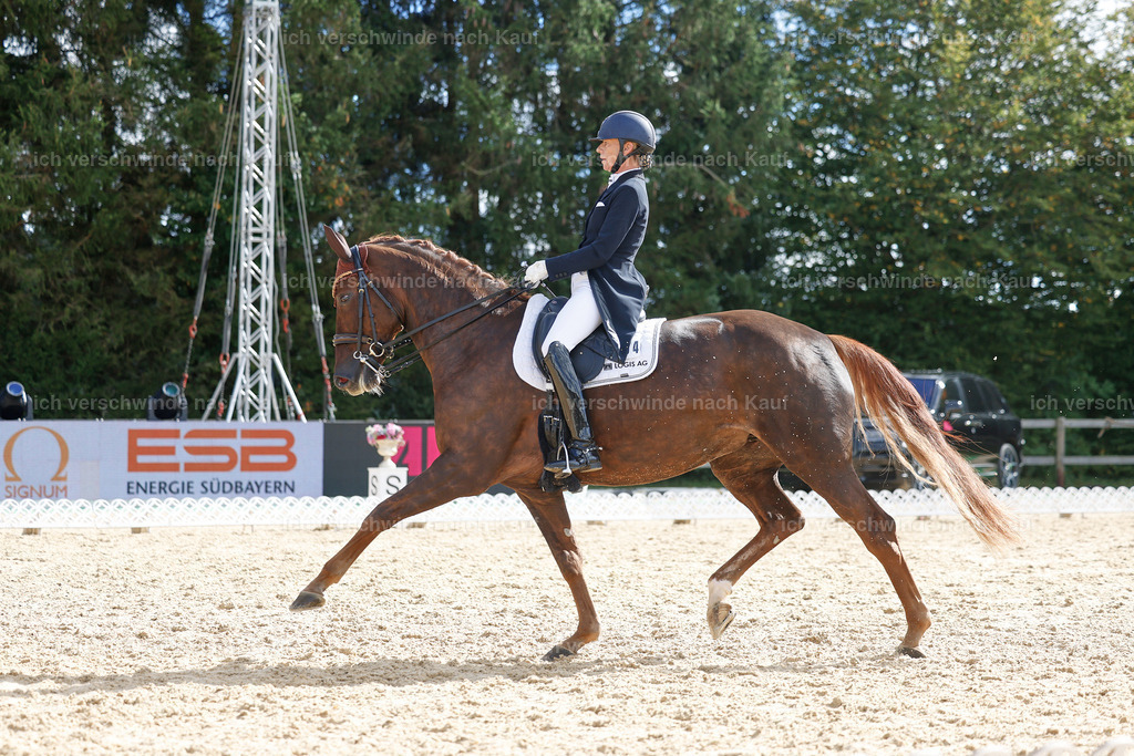09_2-094-DRESSUR  S_  -StoibPH-5860 | working equitationturnier fotograf videograf stoibphotography marixx film working equitation deutschland reitsport turnierfotografie eventfotografie equestrian events