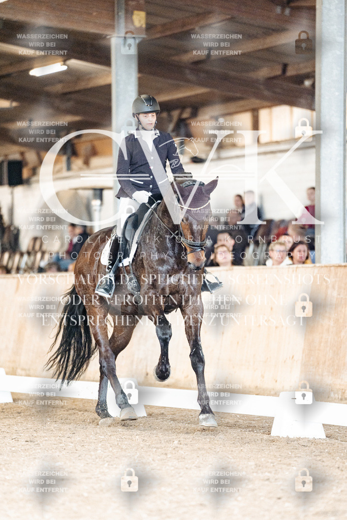 CK901520 | Turnierfotografie Pferdefotografie Trier Rheinland-Pfalz Pferdesport Reitsport Tierfotografie Sportfotografie Pferdevideo Pferdevideografie Equestrianvideography equestrianphotography  - Realisiert mit Pictrs.com