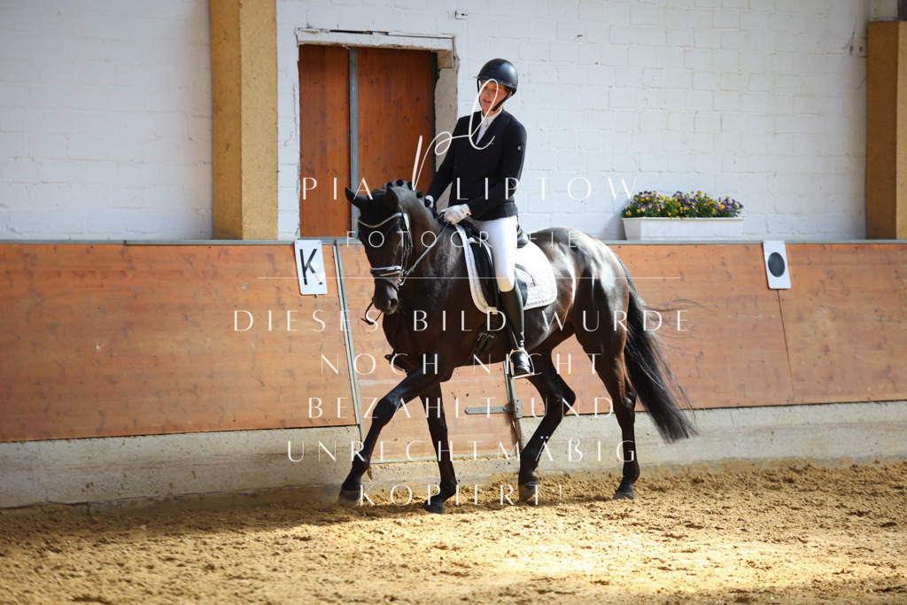 IMGT6803 | pl-fotografie