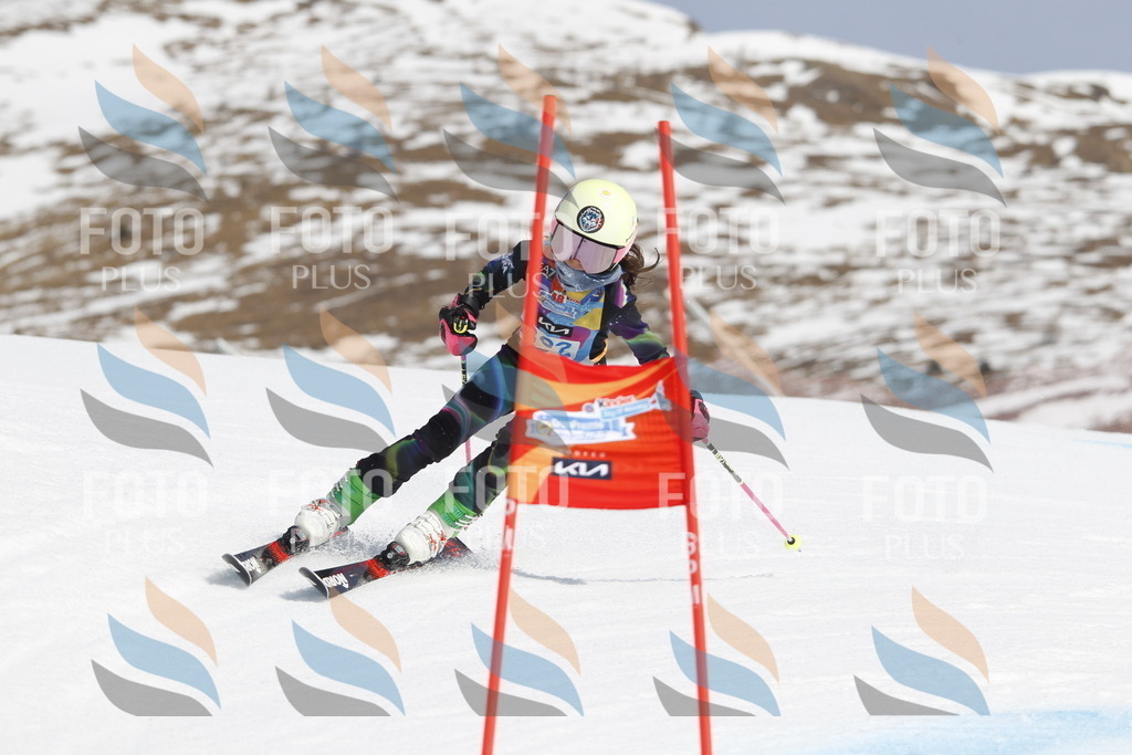 _U3G1766 | holidayphoto