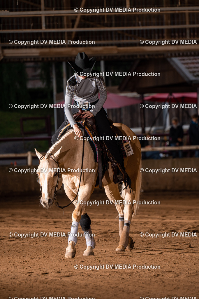 Erbach Tag 2-1094 | dv-media-shop - Realisiert mit Pictrs.com