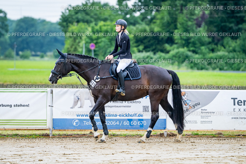 DSC00937 | Pferdegrafie