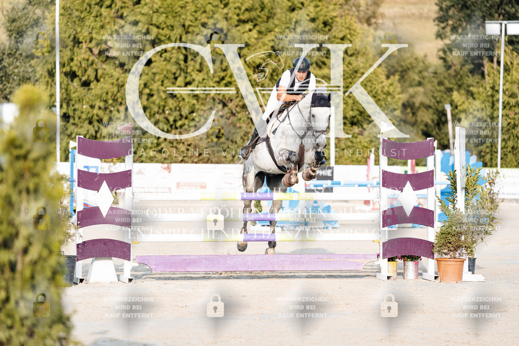 CK900614 | Turnierfotografie Pferdefotografie Trier Rheinland-Pfalz Pferdesport Reitsport Tierfotografie Sportfotografie Pferdevideo Pferdevideografie Equestrianvideography equestrianphotography  - Realisiert mit Pictrs.com
