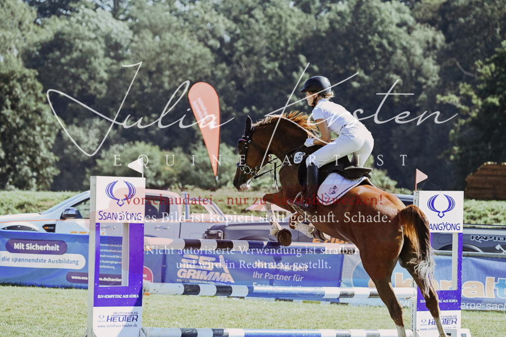 DSC_6411 | Pferde- und Turnierfotografie in Westsachsen. Pferdeportraits, Auftragszeichnungen und intuitive Kunst.