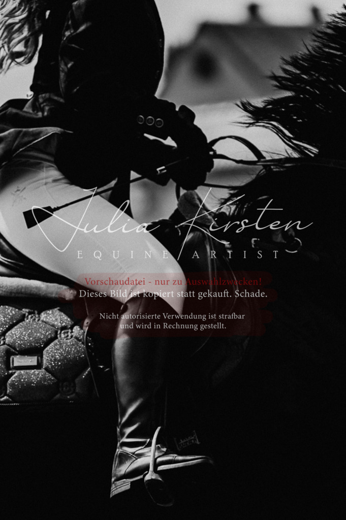 DSC_9142 | Pferde- und Turnierfotografie in Westsachsen. Pferdeportraits, Auftragszeichnungen und intuitive Kunst.