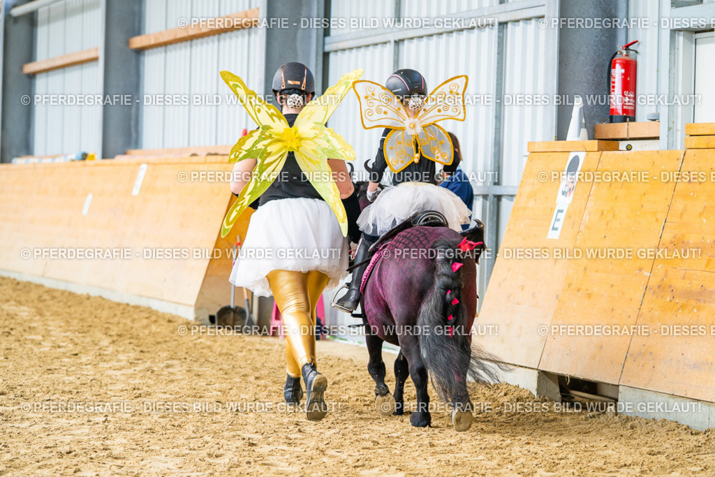 DSC09935 | Pferdegrafie