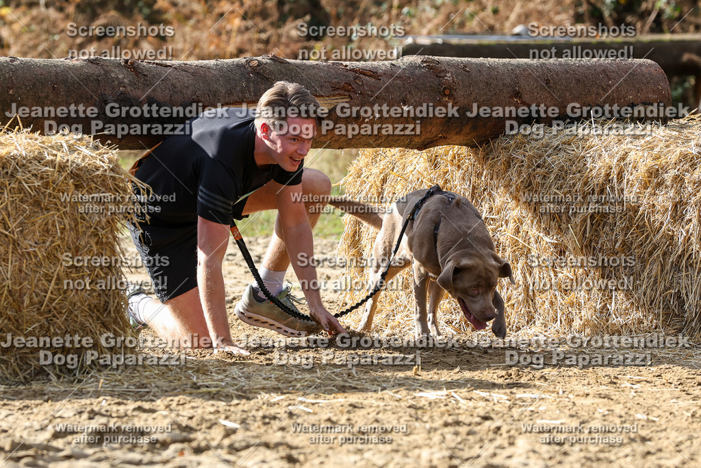 Dog Paparazzi - Strongdog 10-25-5714 | Dog Paparazzi Jeanette Grottendiek Fotografie & Videografie - Realisiert mit Pictrs.com