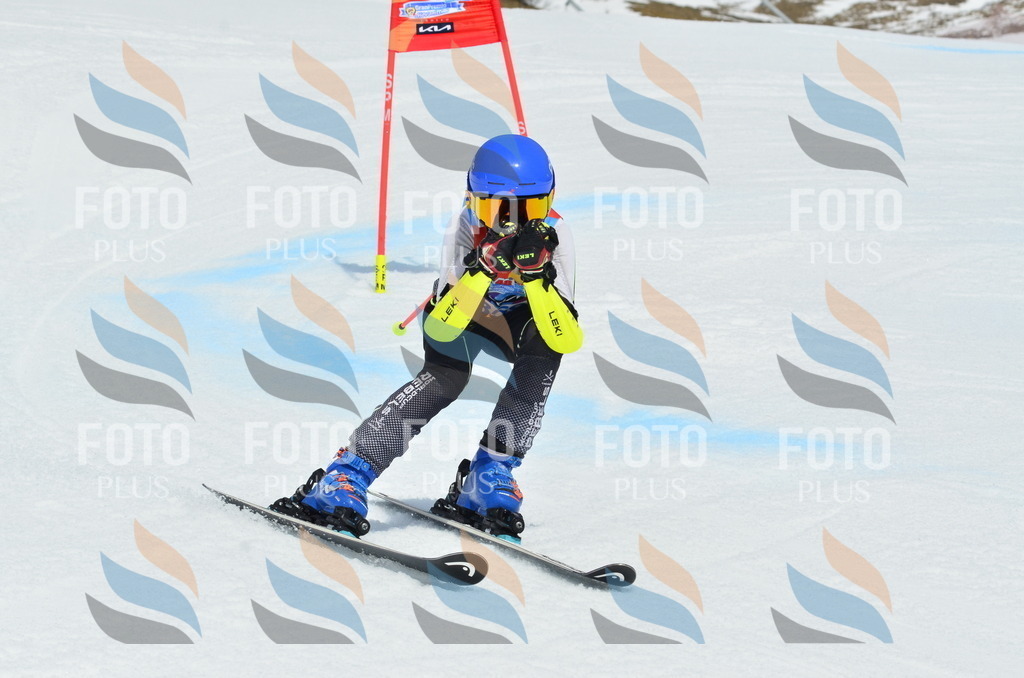 _ELE2827 | holidayphoto