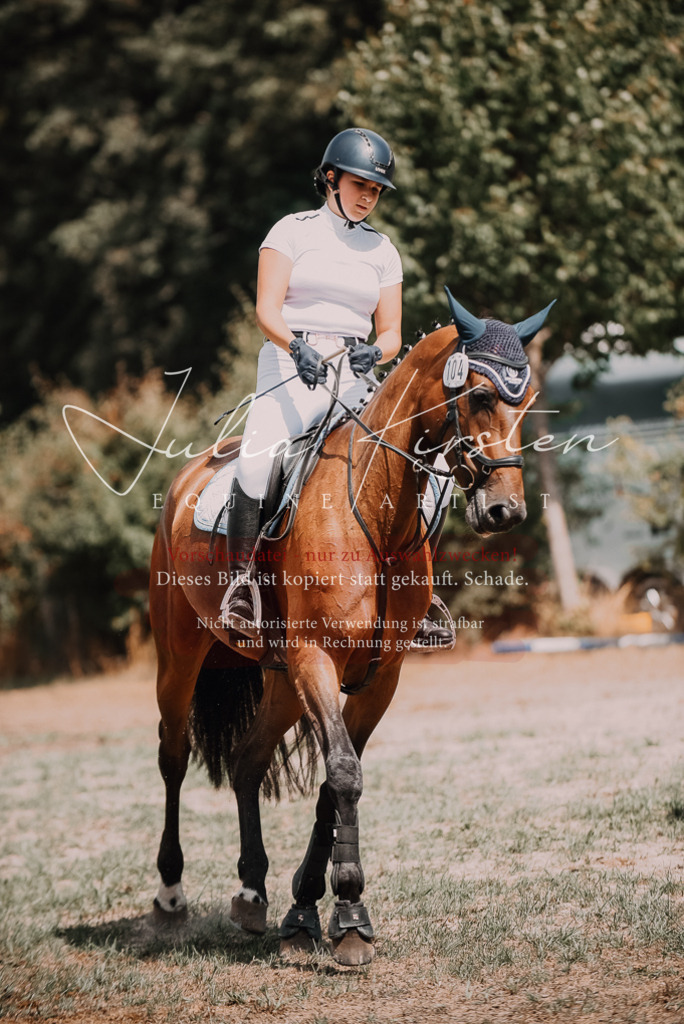 DSC_6433 | Pferde- und Turnierfotografie in Westsachsen. Pferdeportraits, Auftragszeichnungen und intuitive Kunst.