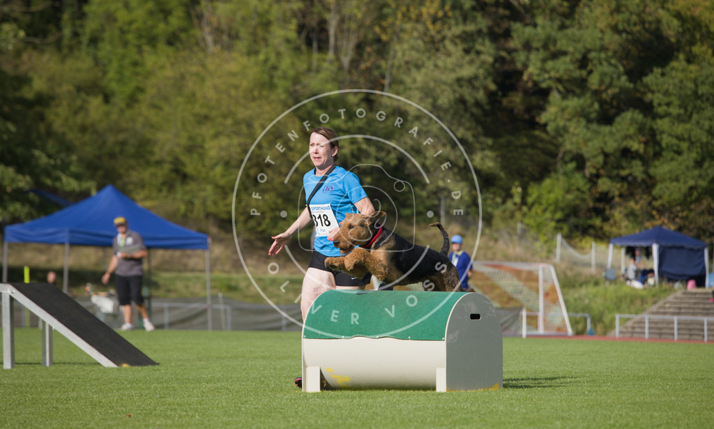 0L8A3799 | Hundefotografie, Tierfotograf, Pfotenfotografie, Fotoshooting Hund, Hunde Portrait, Hundesport, Hundeportraits, Heideshooting, Hunde, Sportfotograf, Hundefotograf, Turnierhundsport, THS,  - Realisiert mit Pictrs.com