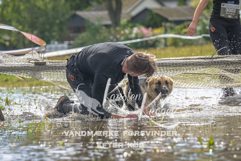 1325_ZZ91061 | kk-dogfotos