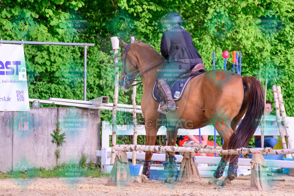 02052026-Giesenbach-03-Speedtrail-1051 | Fokus Hufschlag Fotografie - Realisiert mit Pictrs.com