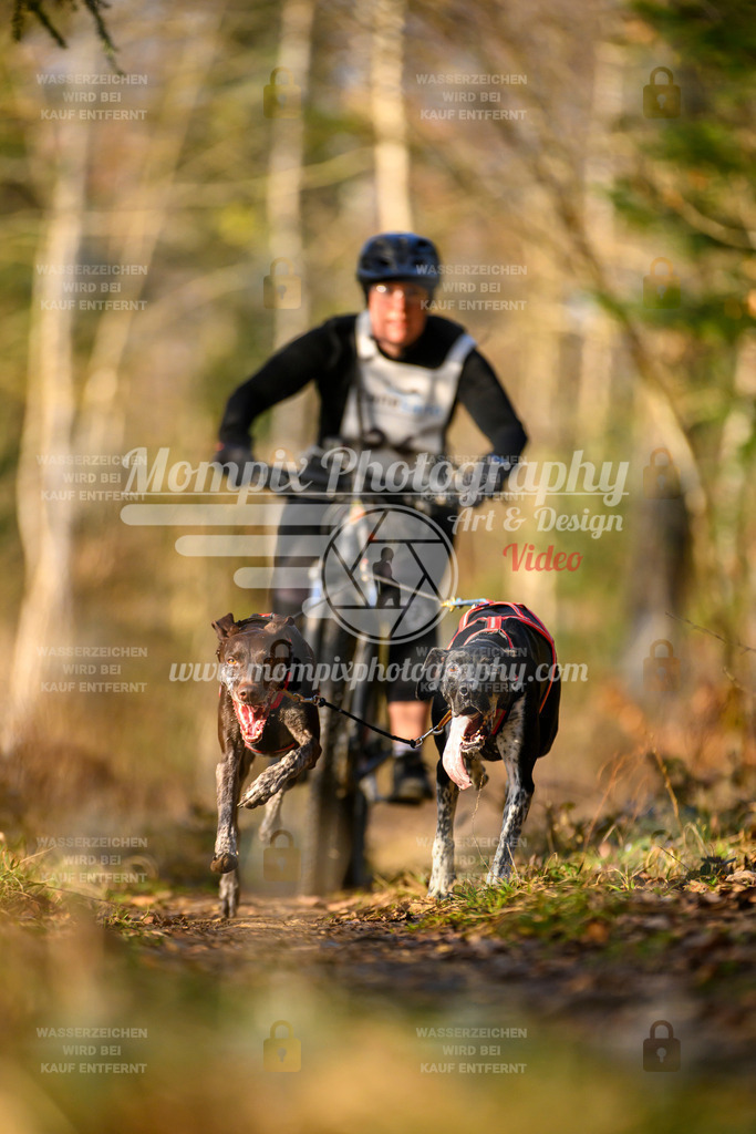 MompixPhotography_6ReiatRennen2026_SO_Bike-11 | PayLife