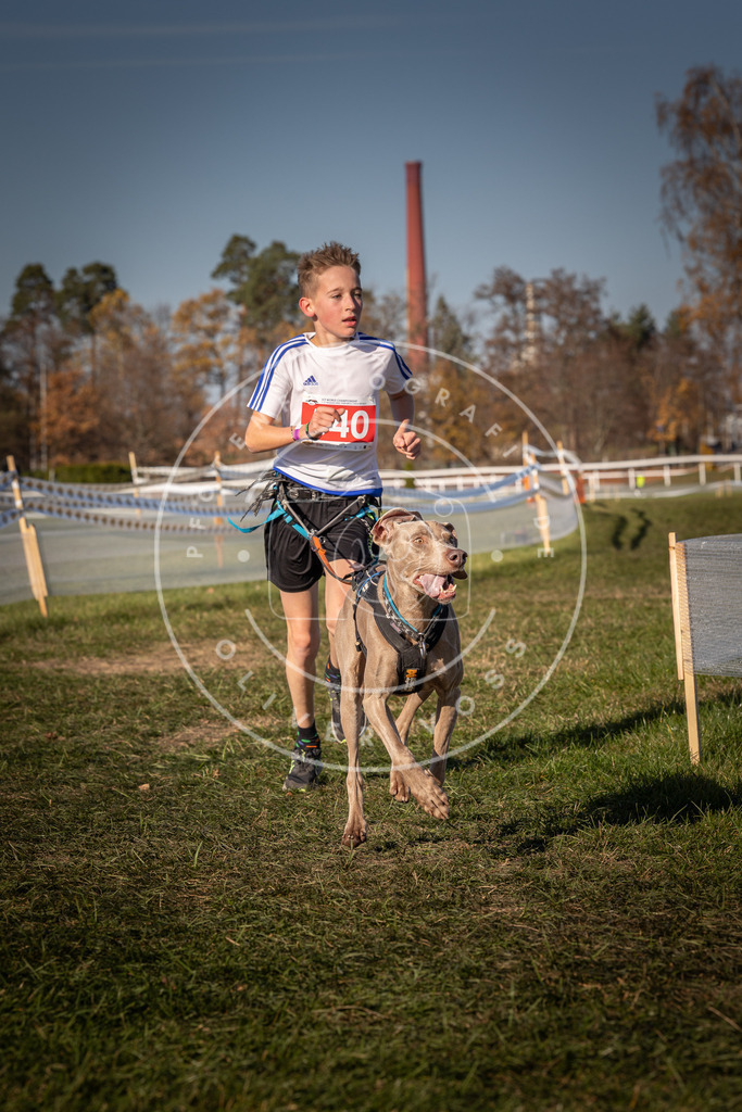CaniXpix_0L8A7560 | Hundefotografie, Tierfotograf, Pfotenfotografie, Fotoshooting Hund, Hunde Portrait, Hundesport, Hundeportraits, Heideshooting, Hunde, Sportfotograf, Hundefotograf, Turnierhundsport, THS,  - Realisiert mit Pictrs.com