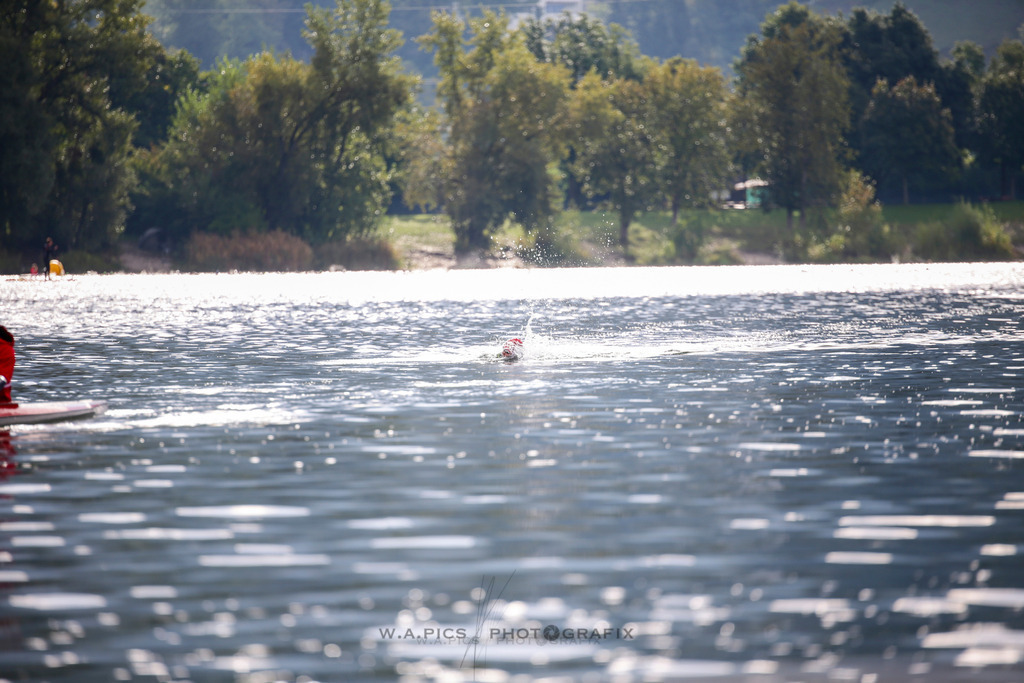 TRIRUN LINZ TRIATHLON 2025 | AUSTRIA, 14.09.2025, Linz, TRIRUN LINZ TRIATHLON 2025, Photo: WAPICS / Andreas Willdoner