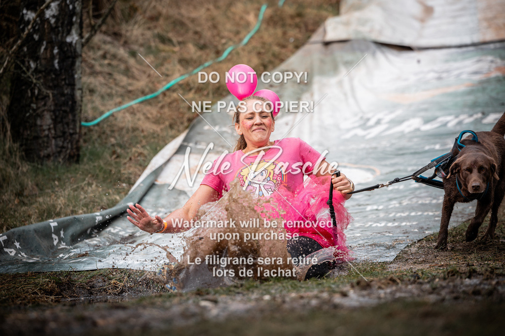 nelerasche_1330-1400_166 | nelerasche
