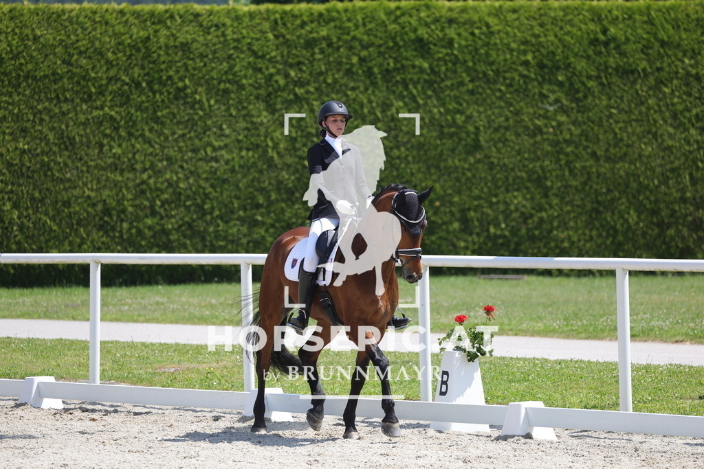 0P6A5795 | Willkommen bei Brunnmayr - Design & Fotografie – Ihrem Spezialisten für Reitturniere und Pferdeveranstaltungen in Oberösterreich, Salzburg und Bayern! Seit über 17 Jahren sind wir leidenschaftlich dabei.