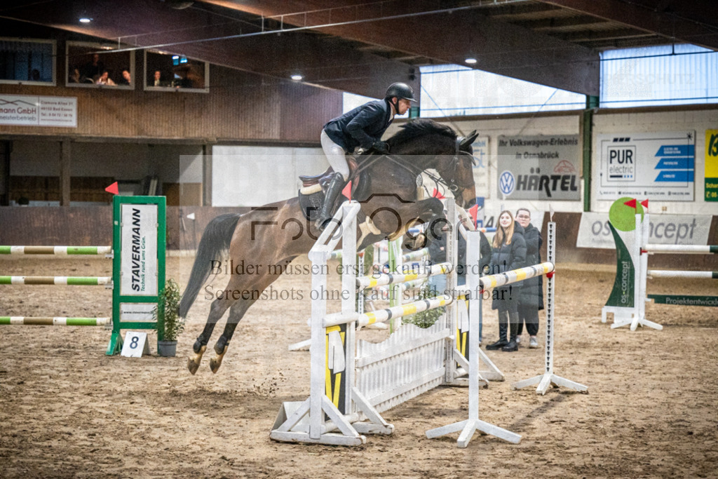 DOS_0197 | Entdecke hochwertige Reitturnierfotos von Foto Oger. Professionell, emotional und authentisch – jetzt Lieblingsmomente im Shop bestellen.Deutschlandweite Turnierfotografie. - Realisiert mit Pictrs.com