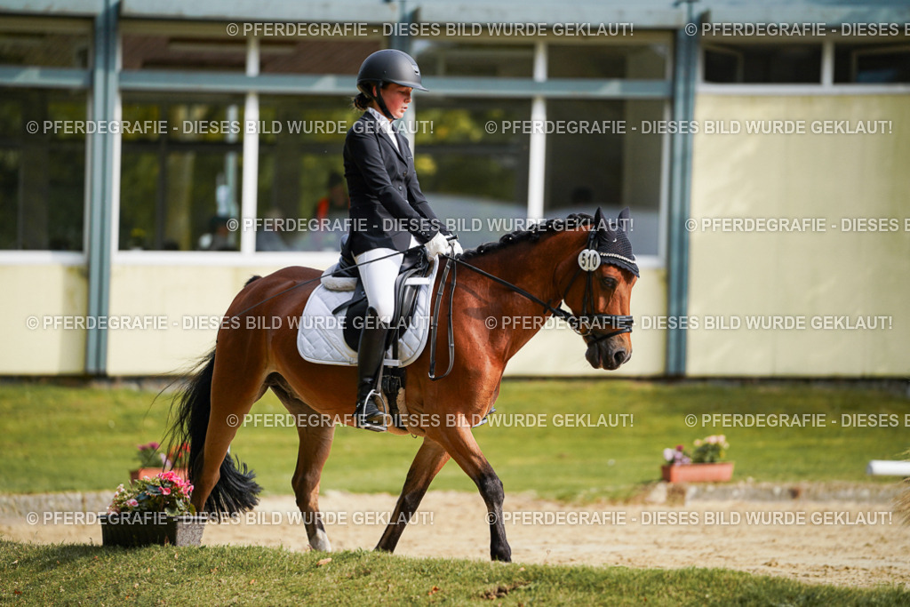 DSC04550 | Pferdegrafie