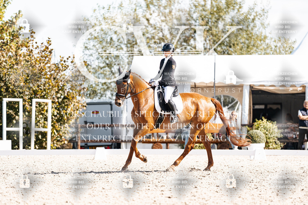 CK902850 | Turnierfotografie Pferdefotografie Trier Rheinland-Pfalz Pferdesport Reitsport Tierfotografie Sportfotografie Pferdevideo Pferdevideografie Equestrianvideography equestrianphotography  - Realisiert mit Pictrs.com