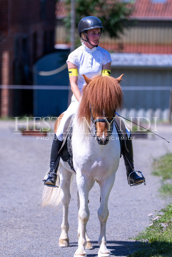 KAI09276 | Ihr sucht einen Fotografen für eure nächste OSI? Ich begleite auch euer Turnier für Islandpferde fotografisch.  - Realisiert mit Pictrs.com