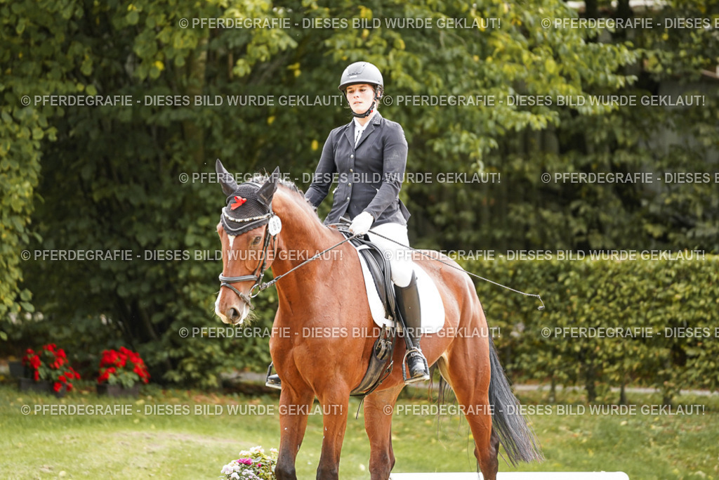 DSC03233 | Pferdegrafie