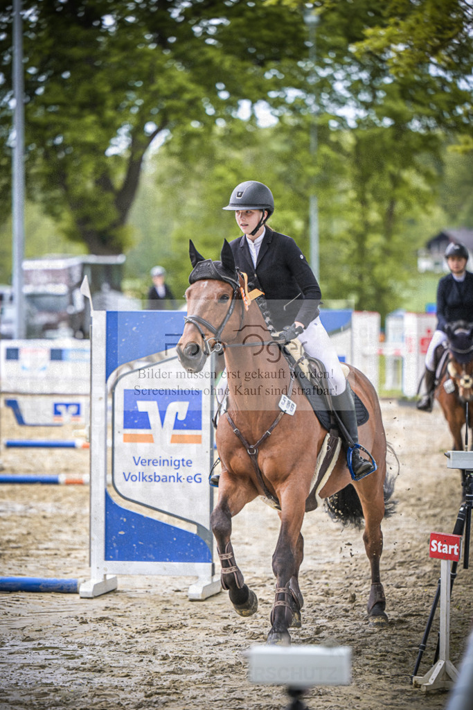 DOS_6632 | Entdecke hochwertige Reitturnierfotos von Foto Oger. Professionell, emotional und authentisch – jetzt Lieblingsmomente im Shop bestellen.Deutschlandweite Turnierfotografie. - Realisiert mit Pictrs.com
