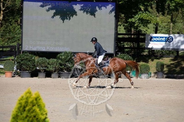 2B4A0467 | pixelfaenger - Realisiert mit Pictrs.com