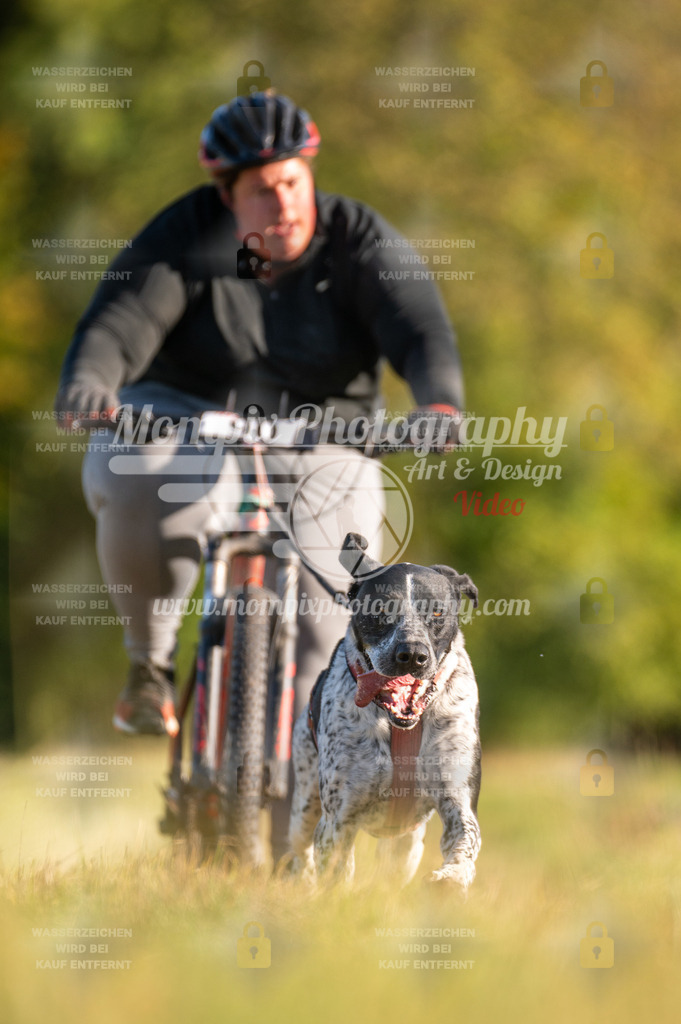 CDLBDB_15_10_2023_Dimanche-227 | PayLife