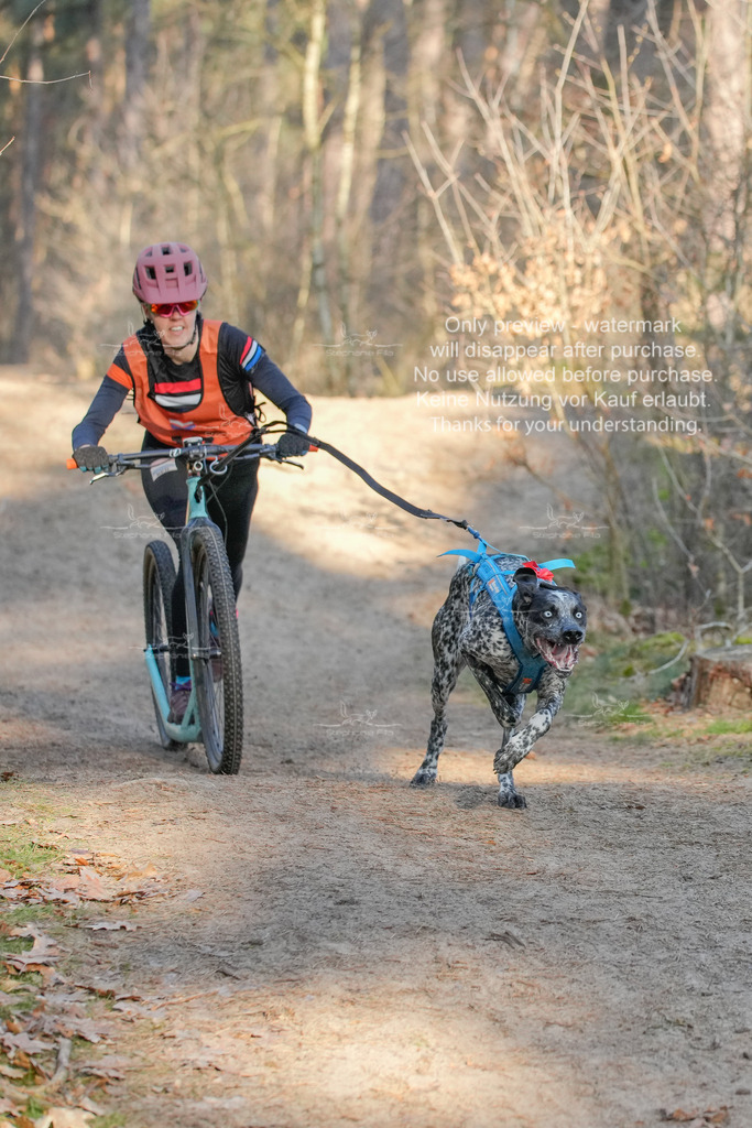 Sa_Scooter-65 | stephaniefillaphotographie - Realisiert mit Pictrs.com