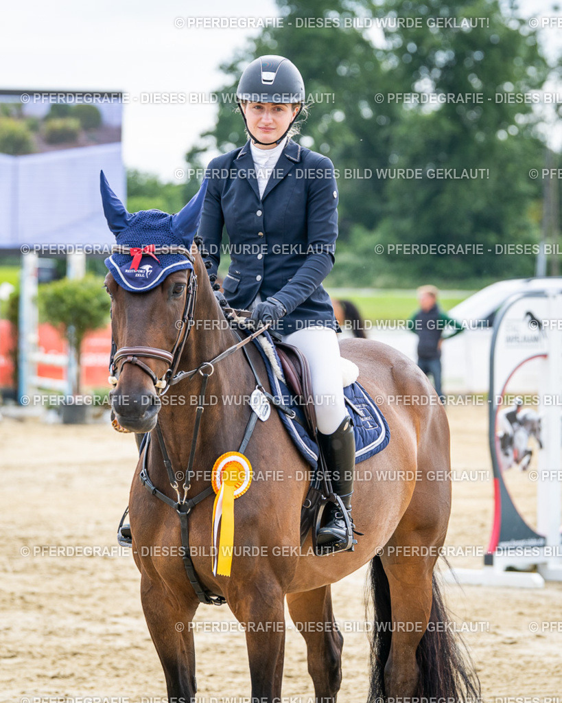 DSC05578 | Pferdegrafie