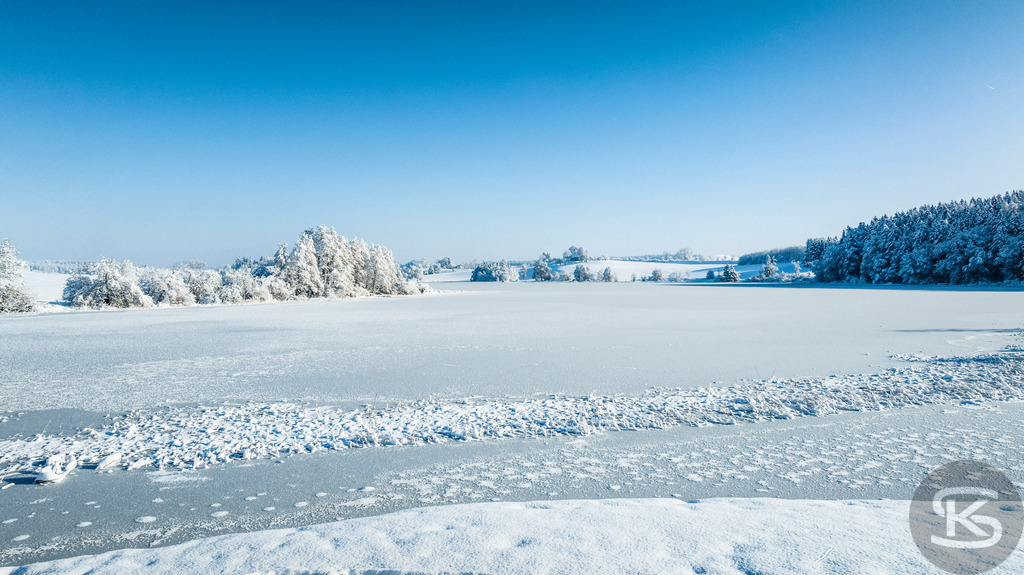 Gefrorener See im Winter – Eislandschaft  | Ruhige Winterszene an einem stillen See mit verschneitem Ufer im Vordergrund. Schneebedeckter Nadelwald am gegenüberliegenden Ufer, gefrorene Gräser und Schnee am Ufer bilden einen natürlichen Rahmen für diese friedliche Landschaft unter blauem Winterhimmel. - Realisiert mit Pictrs.com