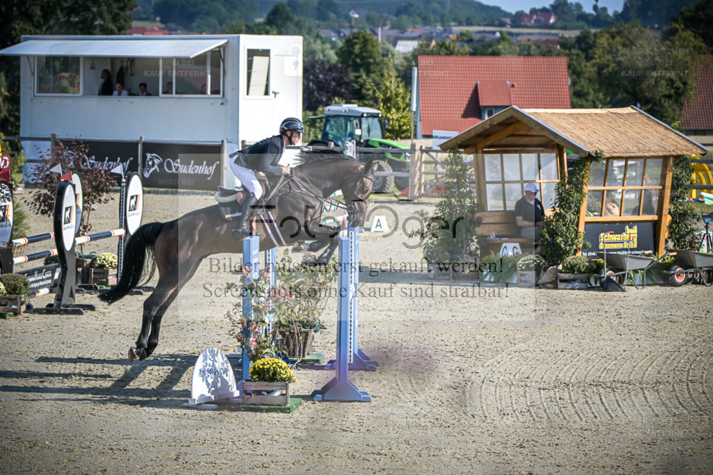 DOS_9831 | Entdecke hochwertige Reitturnierfotos von Foto Oger. Professionell, emotional und authentisch – jetzt Lieblingsmomente im Shop bestellen. - Realisiert mit Pictrs.com