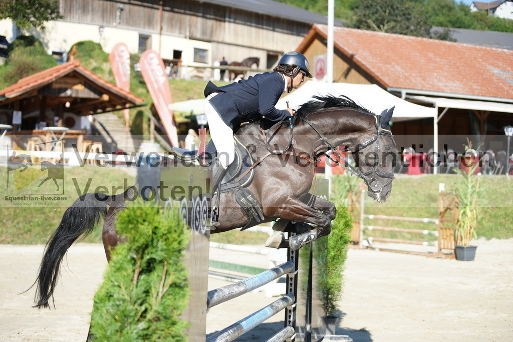 DSC02265 | equestrian-live-com