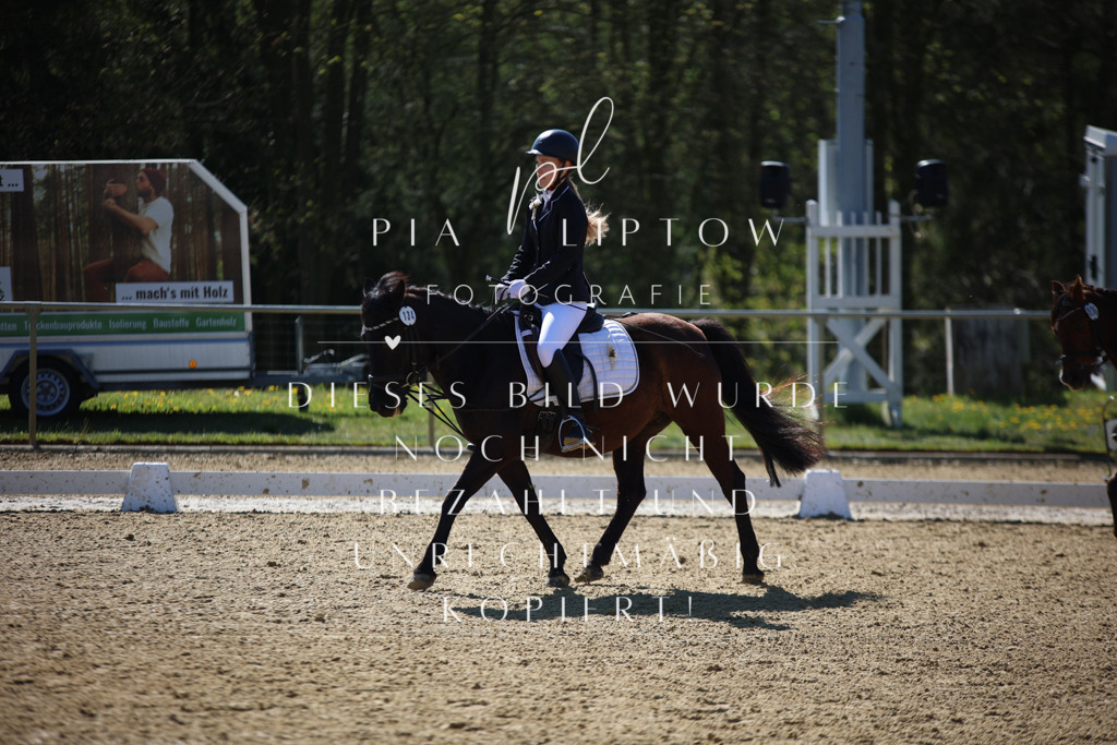 IMGT0187 | pl-fotografie