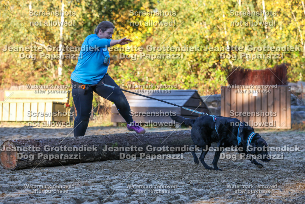 Dog Paparazzi - Strongdog 10-25-700 | Dog Paparazzi Jeanette Grottendiek Fotografie & Videografie - Realisiert mit Pictrs.com