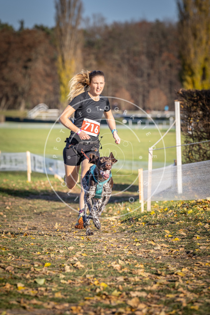 CaniXpix_DV3A1729 | Hundefotografie, Tierfotograf, Pfotenfotografie, Fotoshooting Hund, Hunde Portrait, Hundesport, Hundeportraits, Heideshooting, Hunde, Sportfotograf, Hundefotograf, Turnierhundsport, THS,  - Realisiert mit Pictrs.com