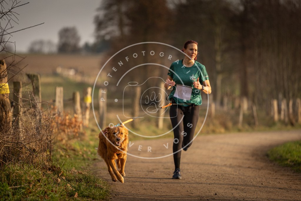 Pfotenfotografie_DV3A5621 | Hundefotografie, Tierfotograf, Pfotenfotografie, Fotoshooting Hund, Hunde Portrait, Hundesport, Hundeportraits, Heideshooting, Hunde, Sportfotograf, Hundefotograf, Turnierhundsport, THS,  - Realisiert mit Pictrs.com