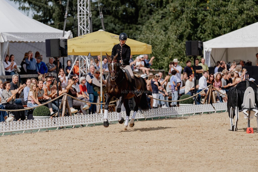Virginie12FHC2025-3102 | working equitationturnier fotograf videograf stoibphotography marixx film working equitation deutschland reitsport turnierfotografie eventfotografie equestrian events