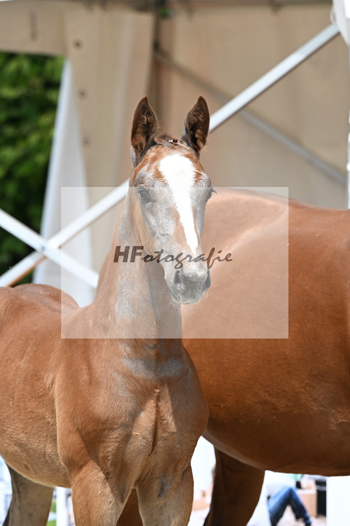 Arezzo Man x Clearway_HF_Maier u Mayerfoels_12250674 | hf-fotografie - Realisiert mit Pictrs.com